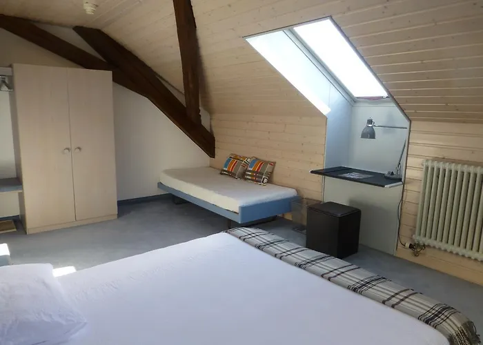 法兰西酒店 酒店 圣克鲁瓦