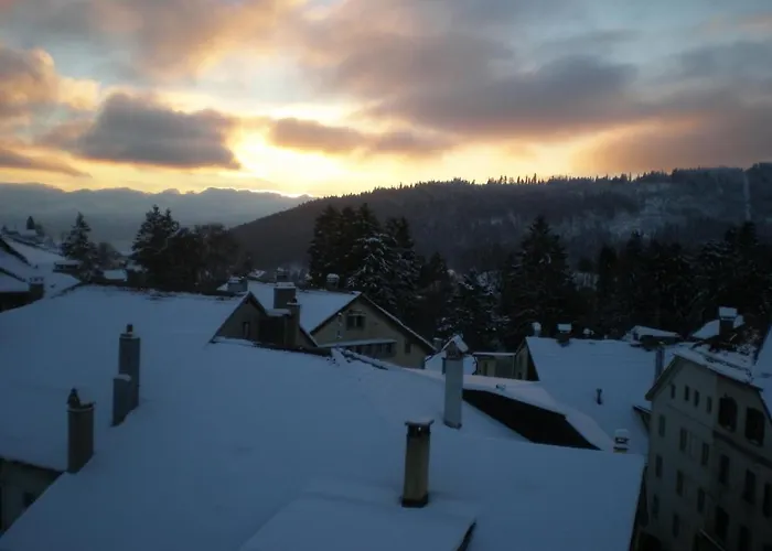 法兰西酒店 酒店