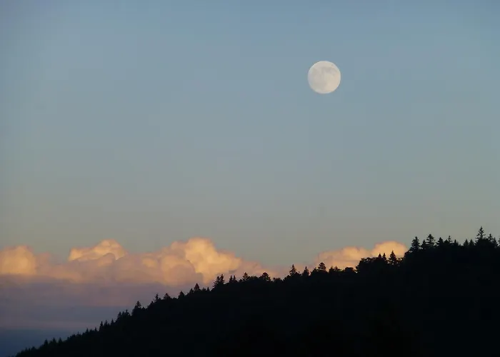 法兰西酒店 酒店