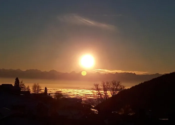 酒店 法兰西酒店 圣克鲁瓦