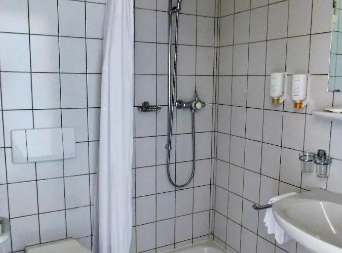 法兰西酒店 酒店